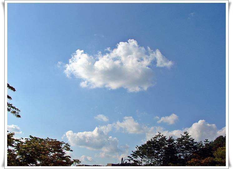 DSC01608@.JPG